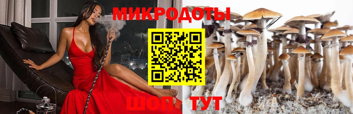 Галлюциногенные грибы Psilocybe  Вход с VPN  Псилоцибиновые грибы Psilocybine cubensis  Томск 